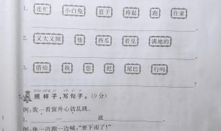 一年级第一学期语文期末考试卷面分析怎么写